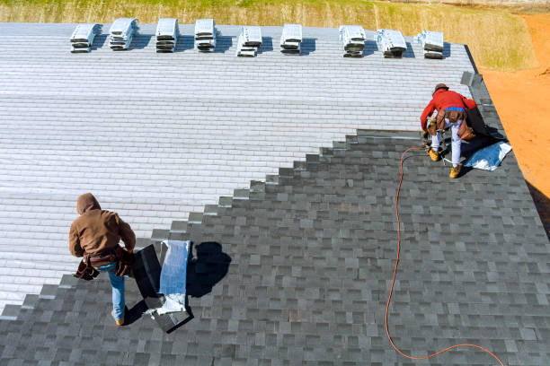 Roof Gutter Cleaning in De Pue, IL