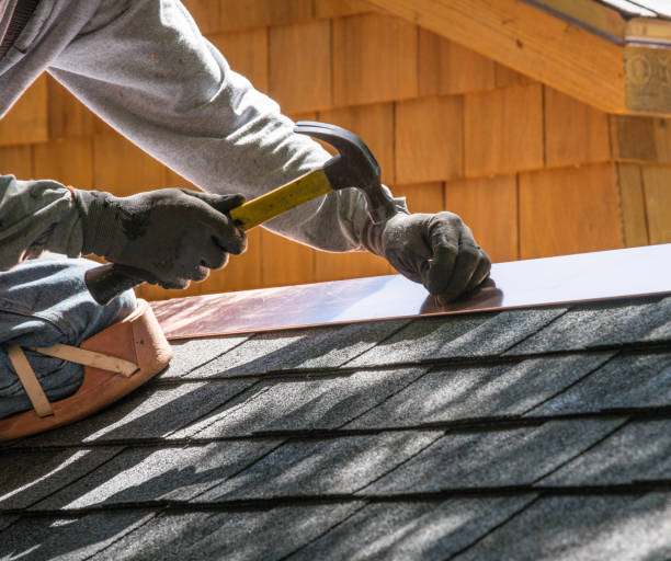 Best Roof Waterproofing Services  in De Pue, IL